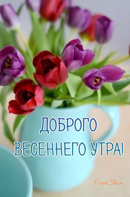 Красивые картинки С добрым весенним утром. С добрым весенним утром — красивые картинки