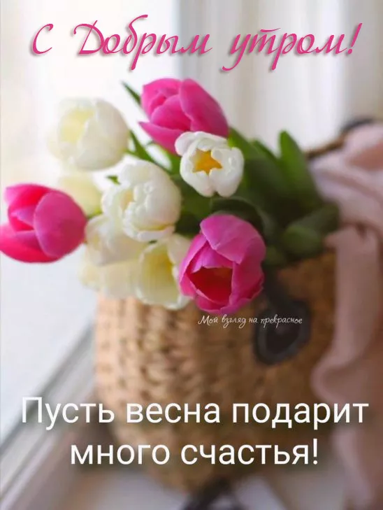Красивые картинки С добрым весенним утром. С добрым весенним утром — красивые картинки