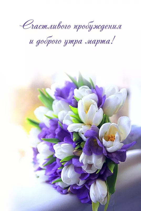Красивые картинки Доброе мартовское утро. Красивые картинки Доброе мартовское утро