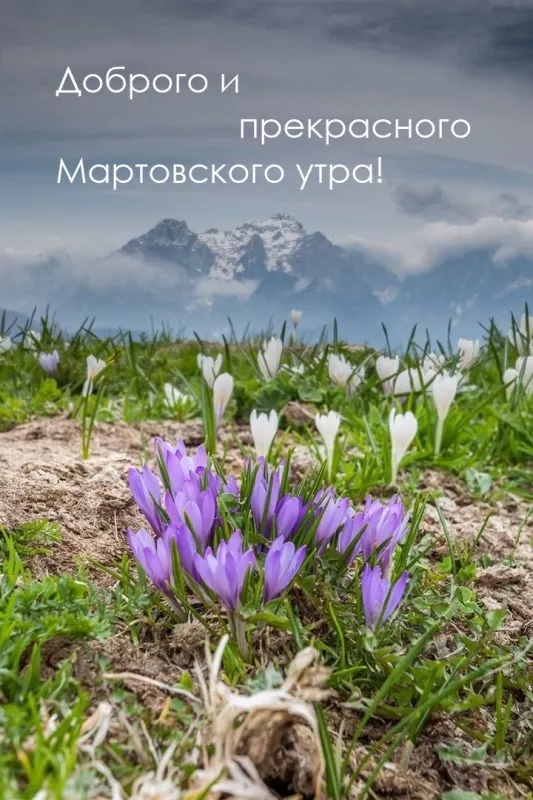 Красивые картинки Доброе мартовское утро. Картинки с добрым мартовским утром — красивые и новые