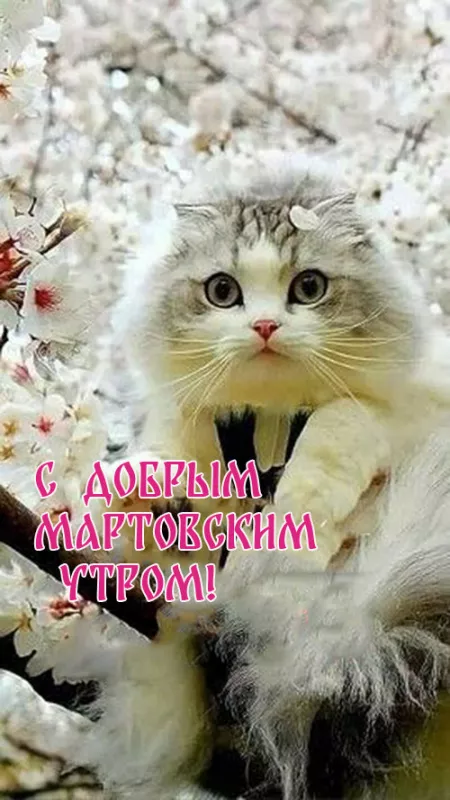 Красивые картинки Доброе мартовское утро. Картинки с добрым мартовским утром — красивые и новые
