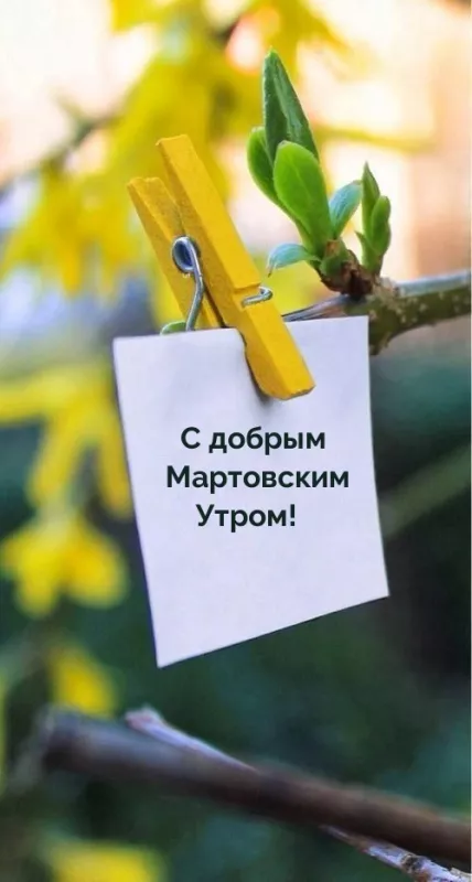 Красивые картинки Доброе мартовское утро. Прикольные картинки с Добрым мартовским утром