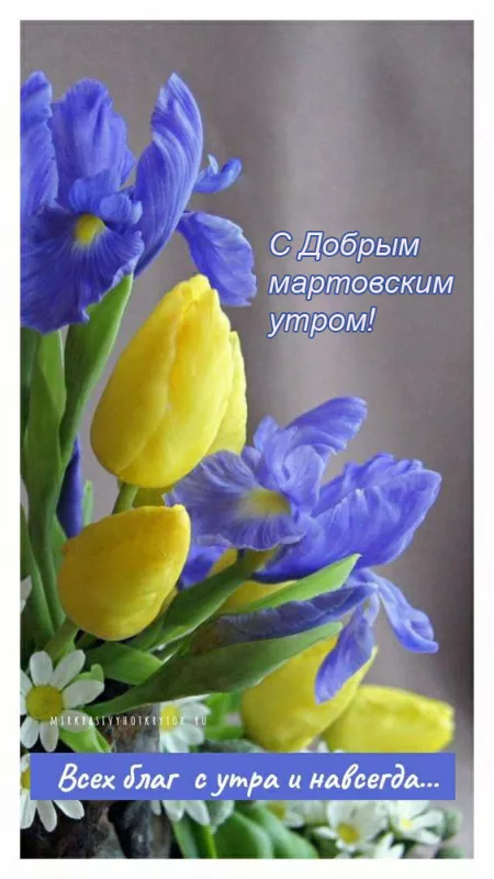 Красивые картинки Доброе мартовское утро. Картинки с добрым мартовским утром — красивые и новые
