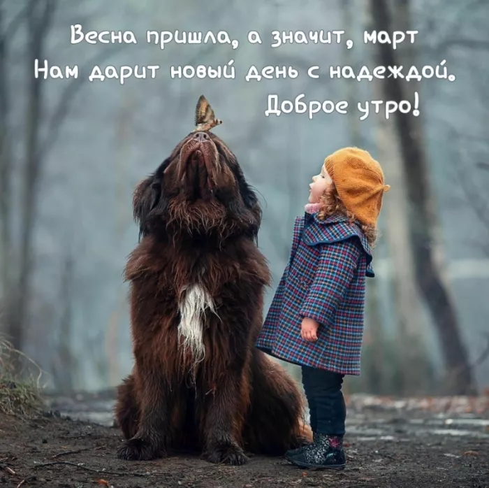 Красивые картинки Доброе мартовское утро. Прикольные картинки с Добрым мартовским утром