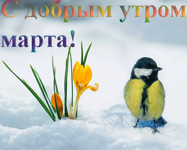 Красивые картинки Доброе мартовское утро. Картинки с добрым мартовским утром — красивые и новые