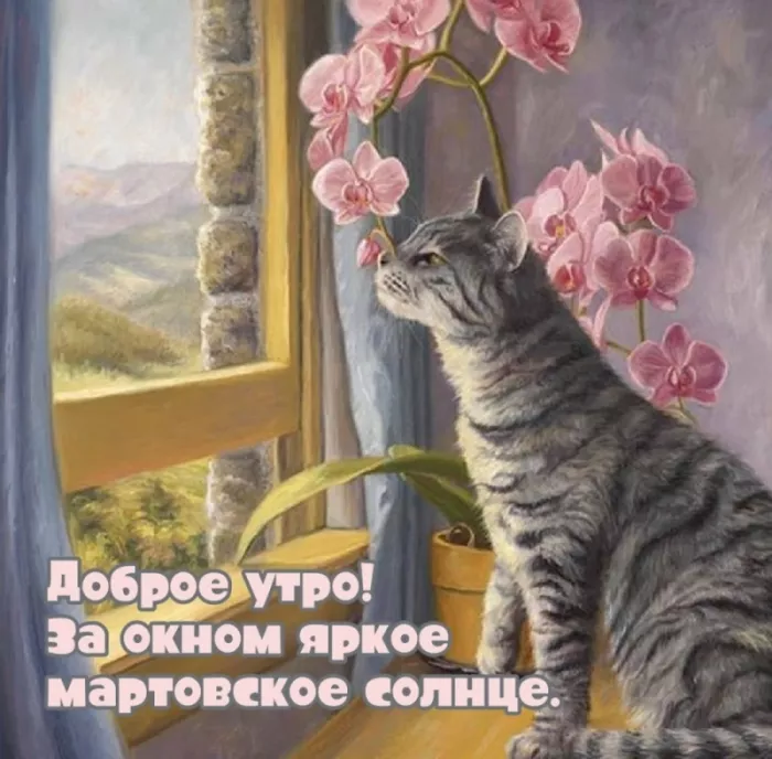 Красивые картинки Доброе мартовское утро. Картинки с добрым мартовским утром — красивые и новые