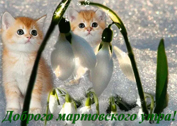 Красивые картинки Доброе мартовское утро. Картинки с добрым мартовским утром — красивые и новые