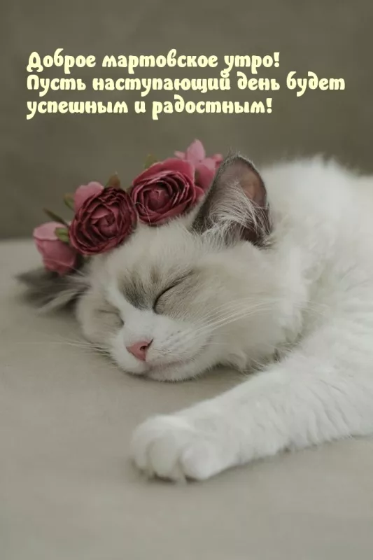 Красивые картинки Доброе мартовское утро. Прикольные картинки с Добрым мартовским утром