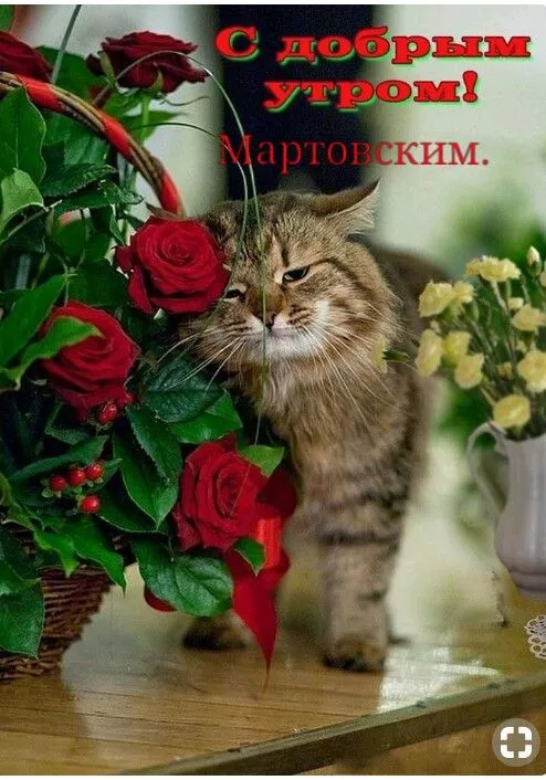 Красивые картинки Доброе мартовское утро. Картинки с добрым мартовским утром — красивые и новые
