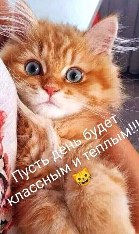 Красивые картинки Доброе мартовское утро. Красивые картинки Доброе мартовское утро
