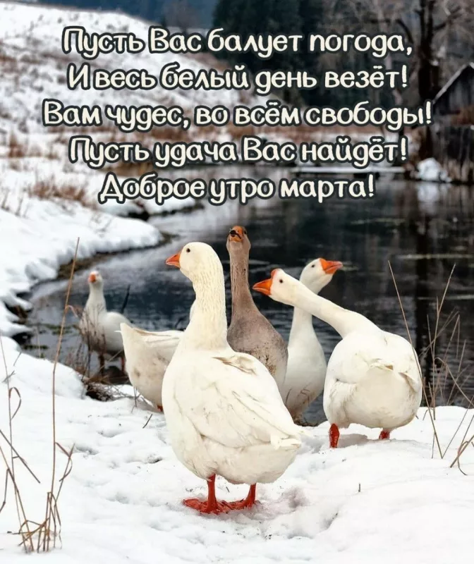 Красивые картинки Доброе мартовское утро. Прикольные картинки с Добрым мартовским утром