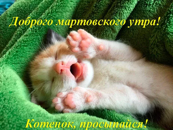 Красивые картинки Доброе мартовское утро. Прикольные картинки с Добрым мартовским утром