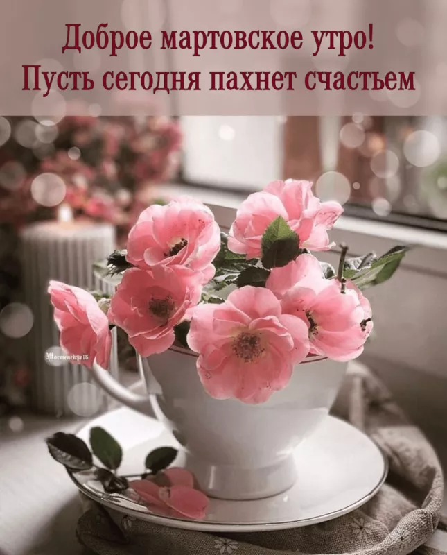 Красивые картинки Доброе мартовское утро. Доброе утро марта — картинки с пожеланиями