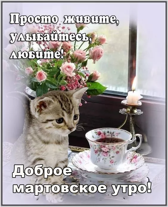 Красивые картинки Доброе мартовское утро. Доброе утро марта — картинки с пожеланиями