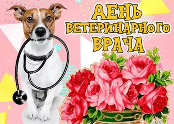 Красивые картинки с Днем ветеринарного врача. Прикольные картинки с Днем ветеринарного врача