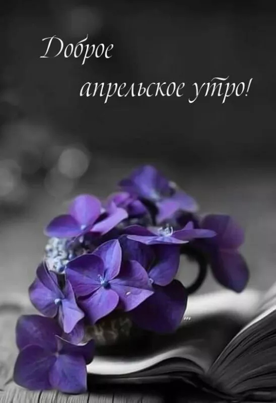 Красивые картинки с Добрым апрельским утром. С Добрым апрельским утром: картинки красивые и новые
