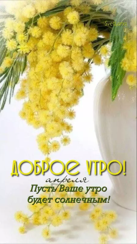 Красивые картинки с Добрым апрельским утром. Доброе апрельское утро — картинки с пожеланиями