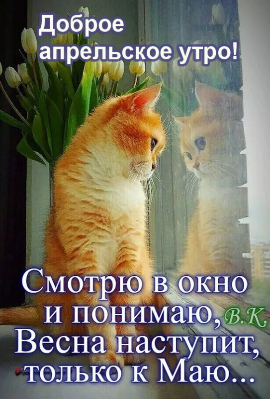 Красивые картинки с Добрым апрельским утром. Прикольные картинки с Добрым апрельским утром