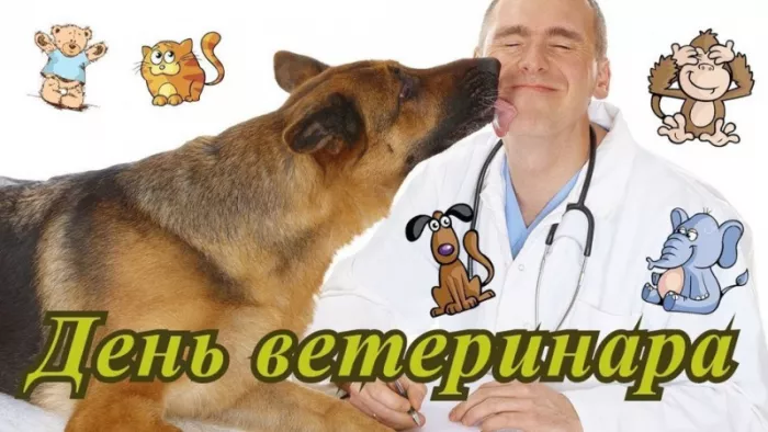 Красивые картинки с Днем ветеринарного врача. Прикольные картинки с Днем ветеринарного врача