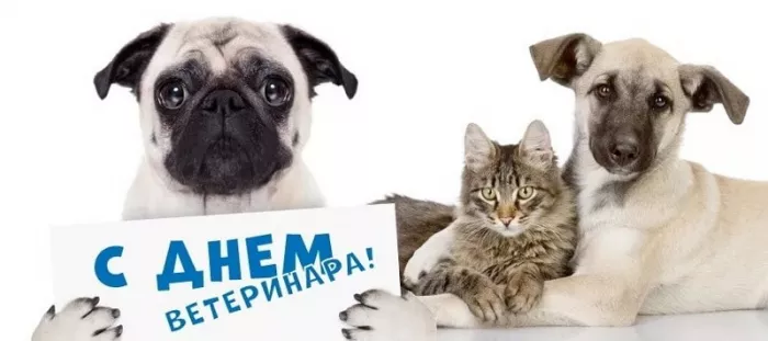 Красивые картинки с Днем ветеринарного врача. Картинки с надписями и поздравлениями на Международный день ветеринарного врача