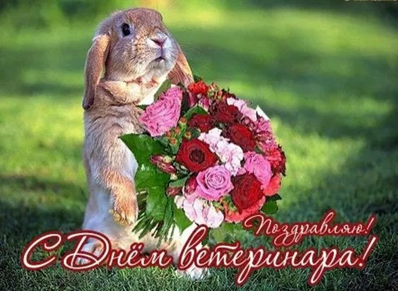 Красивые картинки с Днем ветеринарного врача. Прикольные картинки с Днем ветеринарного врача
