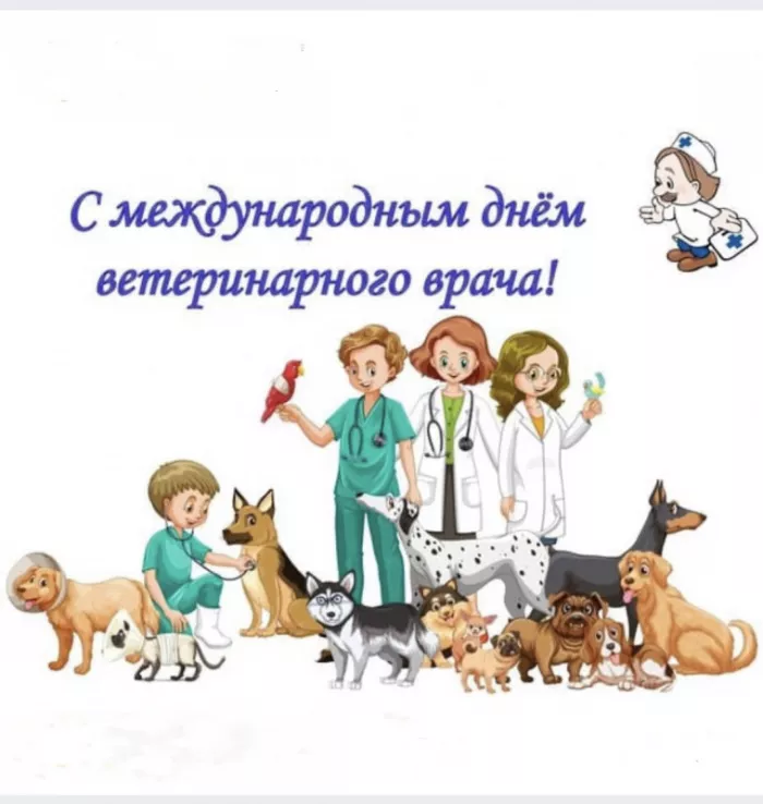 Красивые картинки с Днем ветеринарного врача. Прикольные картинки с Днем ветеринарного врача