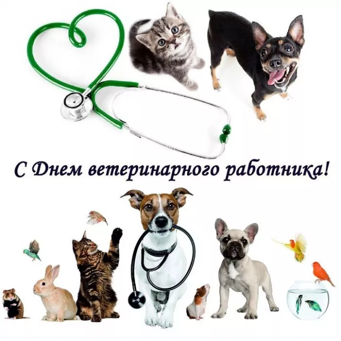 Красивые картинки с Днем ветеринарного врача. Прикольные картинки с Днем ветеринарного врача