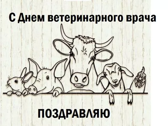 Красивые картинки с Днем ветеринарного врача. Прикольные картинки с Днем ветеринарного врача
