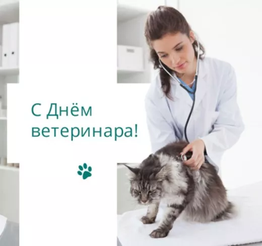 Красивые картинки с Днем ветеринарного врача. Прикольные картинки с Днем ветеринарного врача