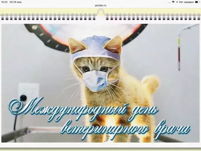 Красивые картинки с Днем ветеринарного врача. Прикольные картинки с Днем ветеринарного врача