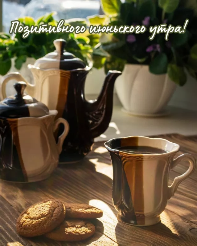 Картинки с добрым утром июня. Красивые картинки с добрым утром июня