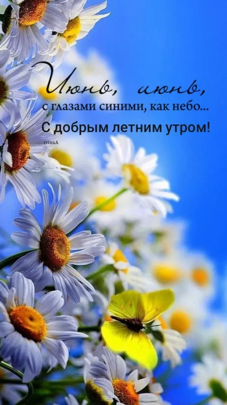 Картинки с добрым утром июня. Доброе утро июня — открытки с надписями