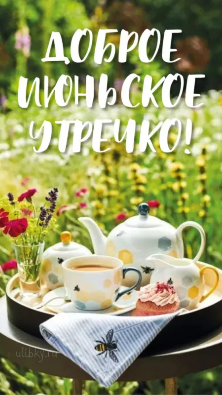Картинки с добрым утром июня. Красивые картинки с добрым утром июня