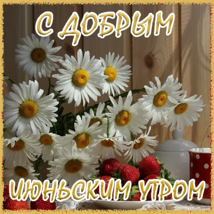 Картинки с добрым утром июня. Летние картинки с пожеланием доброго утра