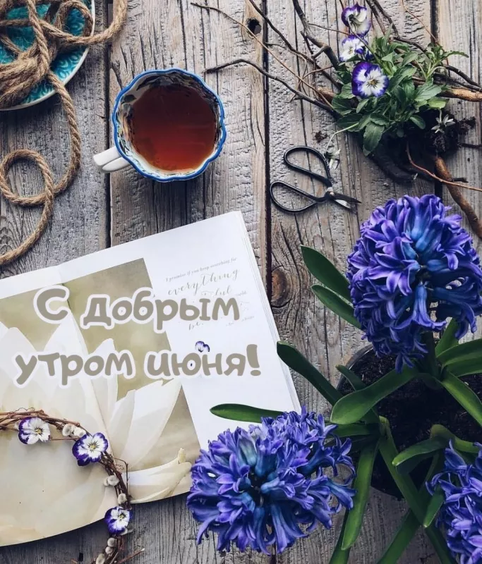 Картинки с добрым утром июня. Летние картинки с пожеланием доброго утра