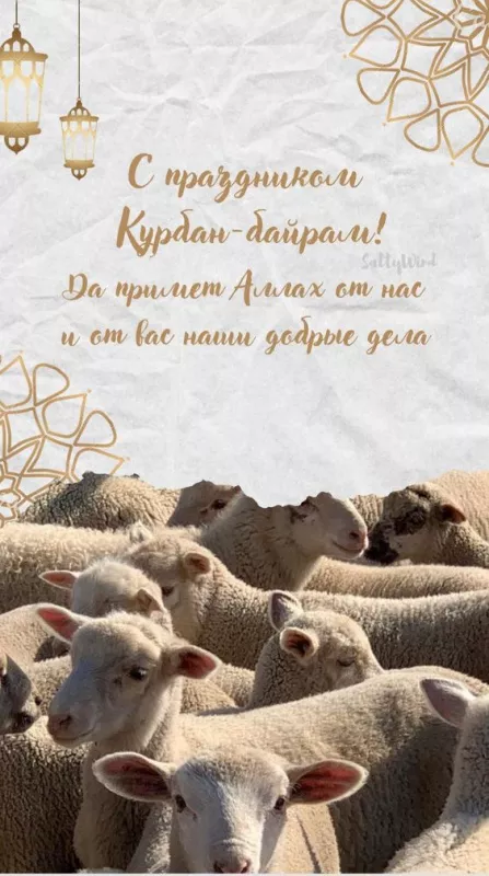 Красивые картинки на Курбан-байрам . Открытки с поздравлениями на Курбан-байрам