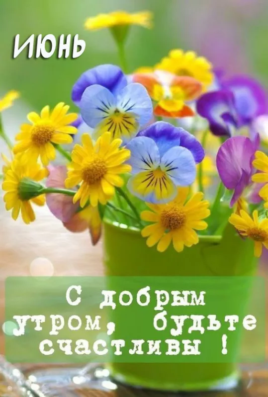 Картинки с добрым утром июня. Доброе утро июня — открытки с надписями