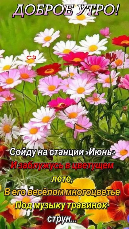 Картинки с добрым утром июня. Доброе утро июня — открытки с надписями