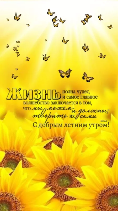 Картинки с добрым утром июня. Доброе утро июня — открытки с надписями