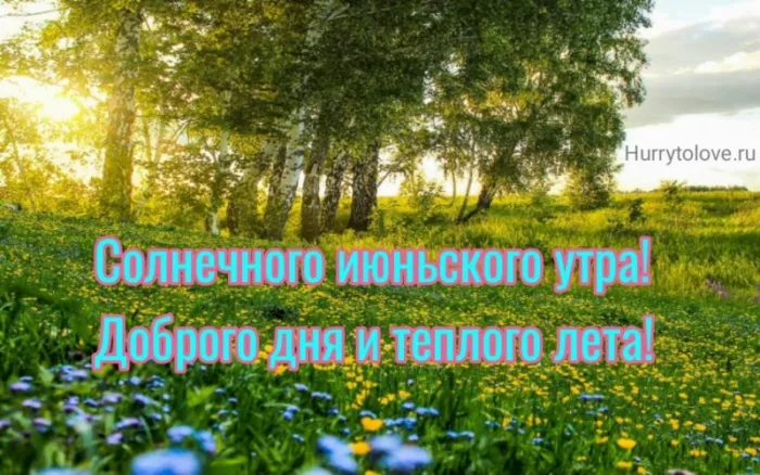 Картинки с добрым утром июня. Доброе утро июня — открытки с надписями