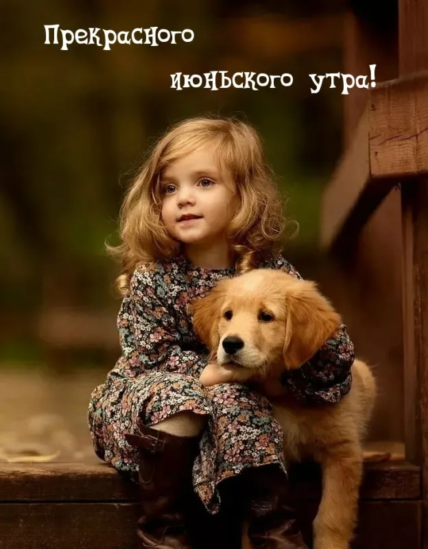 Картинки с добрым утром июня. Красивые картинки с добрым утром июня