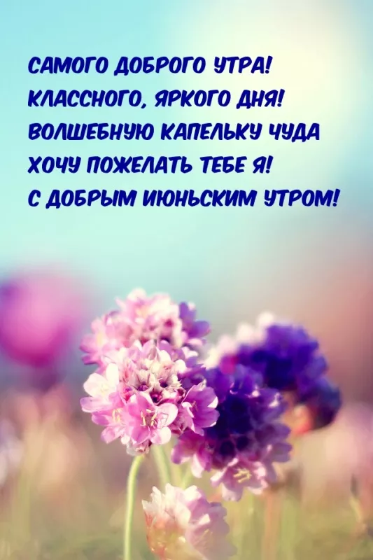 Картинки с добрым утром июня. Доброе утро июня — открытки с надписями