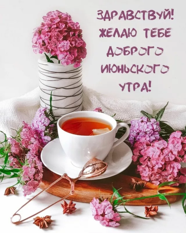 Картинки с добрым утром июня. Доброе утро июня — открытки с надписями