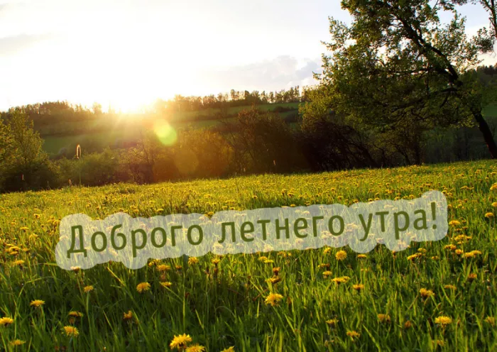 Картинки с добрым утром июня. Летние картинки с пожеланием доброго утра
