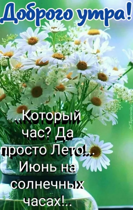 Картинки с добрым утром июня. Доброе утро июня — открытки с надписями