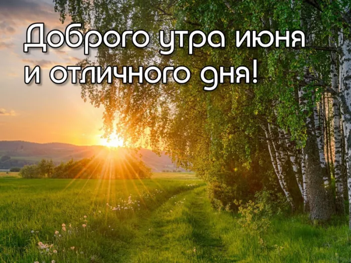 Картинки с добрым утром июня. Летние картинки с пожеланием доброго утра