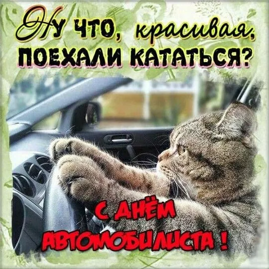 Картинки с Днём автомобилиста. Прикольные и смешные картинки с Днём автомобилиста