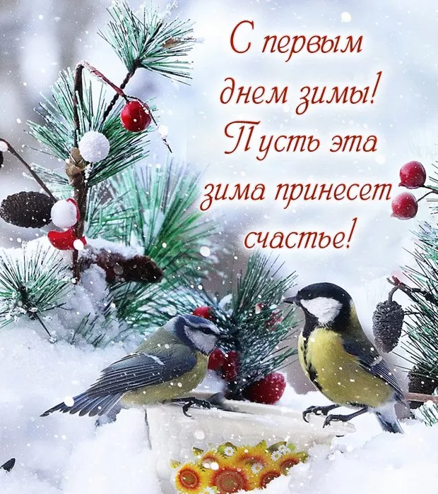 Картинки с Первым днём зимы. Картинки с надписями и пожеланиями на Первый День Зимы