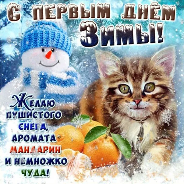 Картинки с Первым днём зимы. Прикольные картинки с Первым днём зимы